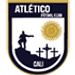 Atletico FC